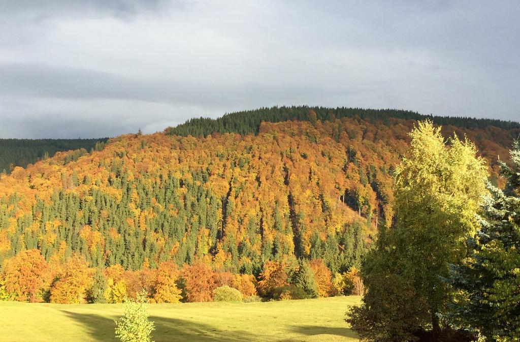Ferienwohnungen Gehlberg Dış mekan fotoğraf